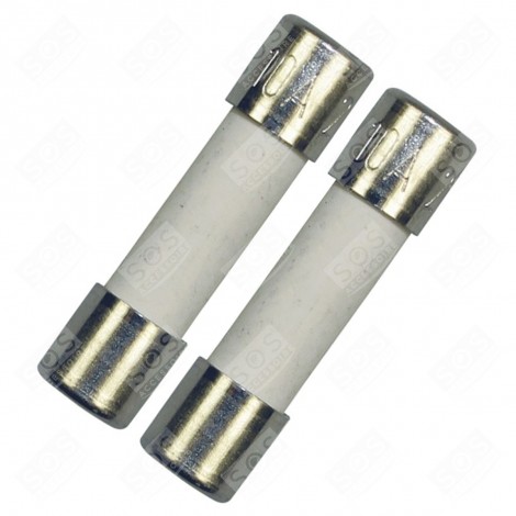 LOT DE 2 FUSIBLES ÉLECTRIQUES 10A 5X20MM D'ORIGINE FOUR, CUISINIÈRE - 00029469