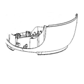 Corps inférieur gris