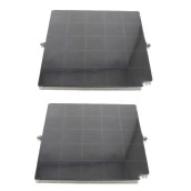 Lot de deux filtre à charbon AIRFORCE FC120 AFFCAF16CS 260X256X17 mm