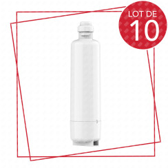 Lot de 10 filtres à eau WFC100MF
