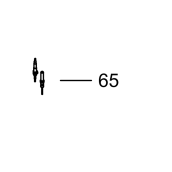 Bougie d'allumage 750mm euro d'origine