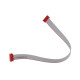 FLATCABLE ENTRE MODULE ET CLAVIER DE TOUCHES. D'ORIGINE HOTTE - 7000334