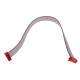 FLATCABLE ENTRE MODULE ET CLAVIER DE TOUCHES. D'ORIGINE HOTTE - 7000334