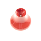 Couvercle du bol hachoir rouge