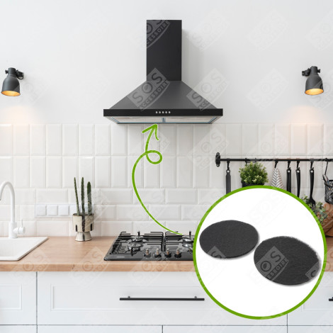 LOT DE 2 FILTRES CHARBON  205X10 MM HOTTE - 74X3834