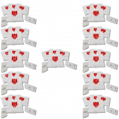Lot de 11 boites de 4 sacs à poussière synthétique FJM compatible