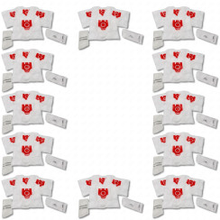 Lot de 12 boites de 4 sacs à poussière synthétique FJM compatible