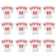 LOT DE 12 BOÎTES DE 4 SACS TYPE G 270 X 60 MM ASPIRATEUR - 00576334,17000940