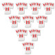 LOT DE 10 BOÎTES DE 4 SACS TYPE G 270 X 60 MM ASPIRATEUR - 00576334,17000940