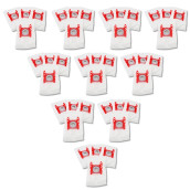 Lot de 10 boîtes de 4 sacs type G 270 x 60 mm