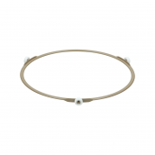 Anneau d'entrainement plateau