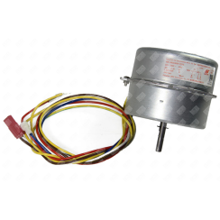 Moteur (220V)