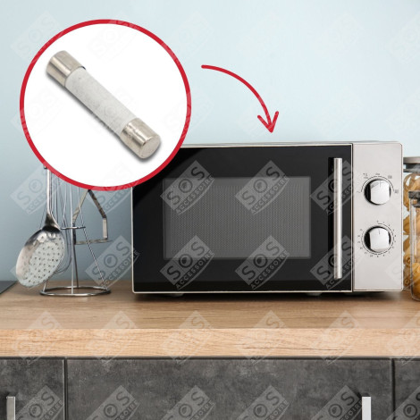 FUSIBLE 12A FOUR MICRO-ONDES - 75X0120