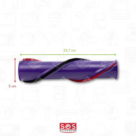 ROULEAU DE BROSSE, EMBOUT D'OR ASPIRATEUR - 969569-01