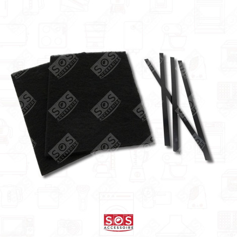 LOT DE 2 FILTRES CHARBON  320X220 MM HOTTE - 74X2375