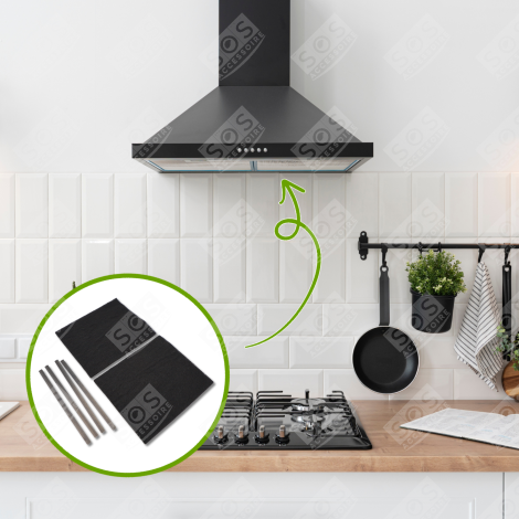 LOT 2 FILTRES CHARBON (TYPE 31) 285X245X11 MM HOTTE - CFW031 484000008787