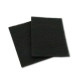 LOT DE 2 FILTRES CHARBON (AVEC TIGES DE FIXATION) HOTTE - 74X4121