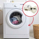 SÉCURITÉ DE PORTE MACHINE À LAVER, LAVE-LINGE - C00628818, 488000309745