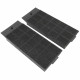 LOT DE 2 FILTRES  CHARBON TYPE B  280X110 MM HOTTE - 50263848009