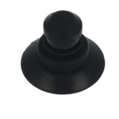 Pied noir