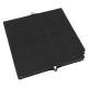 FILTRE CHARBON AIRFORCE FC120 AFFCAF16CS  260X256X17 MM HOTTE - 480122100934