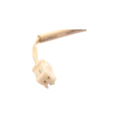 Sonde temprérature d'origine