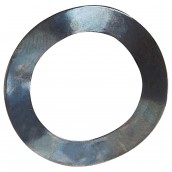 Rondelle de balancement 21.8x14