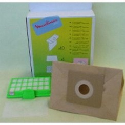 Boite de 10 sacs + 1 filtre hepa