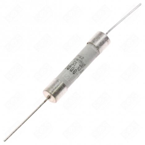 FUSIBLE TEMPORISÉ 10 A FOUR MICRO-ONDES - MS-0295173