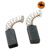 Lot de 2 charbons moteur blender