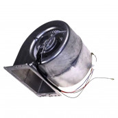 Ventilateur du moteur