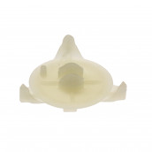 Pied postérieur Pied postérieur