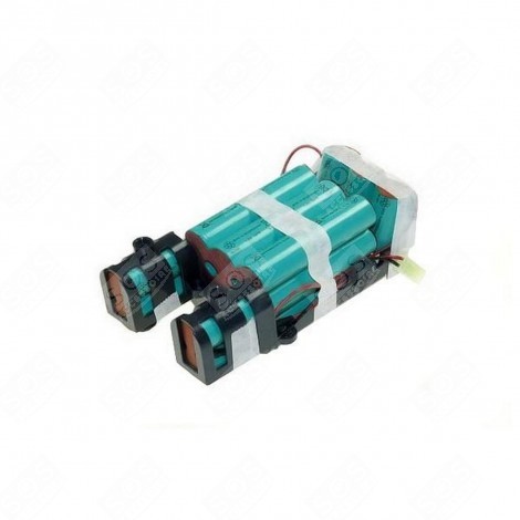 BLOC BATTERIE ASPIRATEUR - 48006266