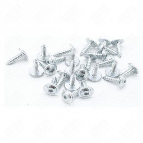 SACHET 25 VIS FRIGO, RÉFRIGÉRATEUR, CONGÉLATEUR - 9086524