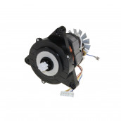 Entrainement d'origine