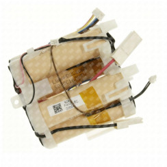 Batterie 21.6 v d'origine