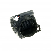 Moteur d'origine Moteur d'origine