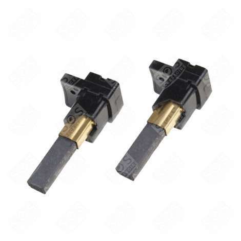 LOT DE 2 CHARBON MOTEUR ASPIRATEUR - 5053197018810